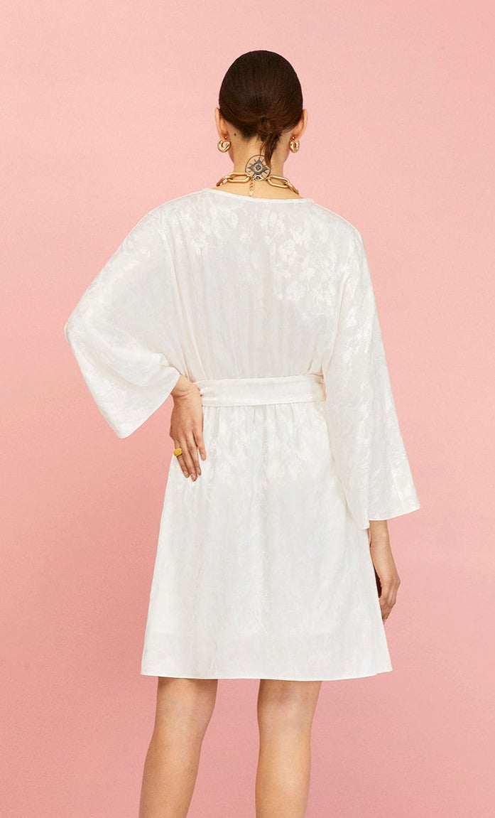 Elegant Dress